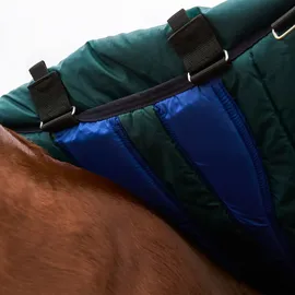 Weatherbeeta Comfitec Plus Dynamic Turnout Detach-A-Neck 220g, 140