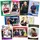 Panini PDC World Darts Championship Premium 2026 Hobby Box