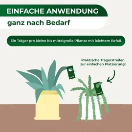LEGO Florfliegenlarven gegen Blattläuse und Thripse 5 Träger à 2 Lieferungen