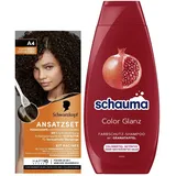 Schwarzkopf Ansatzset A4 Dunkelbraun Stufe 3 (45 ml) zum Haaransatz kaschieren in nur 10 Minuten, Ansatzfarbe & Schauma Farbschutz-Shampoo Color Glanz (400 ml) pflegt coloriertes Haar