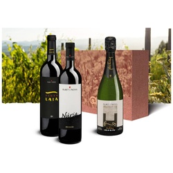Genusspaket Albet i Noya 3 Fl. Wein, stilvoll verpackt im edlen Geschenkkarton, Bio Probierpakete