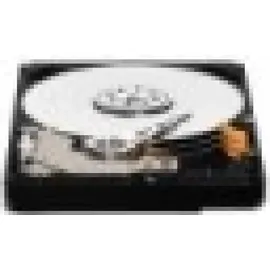 Western Digital AV-25 500 GB 2,5" WD5000LUCT