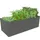 Konifera Emmy 190 x 60 x 80 cm Grau