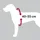Trixie Dog Protect Hundegeschirr Schwarz 40-55 cm