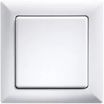 Eltako Lichtschalter FT55-wg