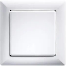 Eltako Lichtschalter FT55-wg