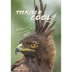 Tierisch cool! - Kalender 2026