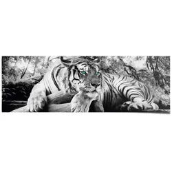 Poster REINDERS "Tigerblick", schwarz (farbe bild(er): schwarz), B:158cm H:53cm, Papier, Bilder