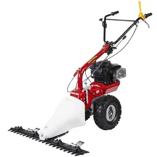 Eurosystems P70 EVO - Mehrzweck Doppelmesser Balkenmäher - B&S 850iS