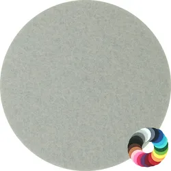 BIASTO - Premium Filz Untersetzer - rund 10cm - Farbe: grau (HF024). Design Glas-Untersetzer für Getränke, Tisch, Bar, Tasse, Vase