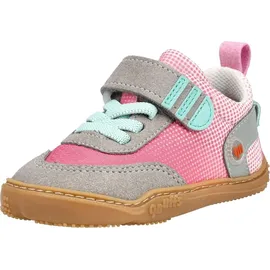 qnuffs Fichte Rosa 25