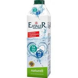 Extaler Mineralwasser 1,0 l 4100060024810 Extaler