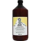 Davines Naturaltech Purifying Shampoo 1000 ml