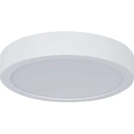 Paulmann Aviar 1 Stk. rund 22 cm IP44 4000K dimmbar