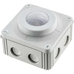 PRACHT Tageslicht/Bewegungssensor XLS CCS HALL