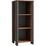 Forte Clif Aktenregal 115 x 46 x 41,6 cm braun