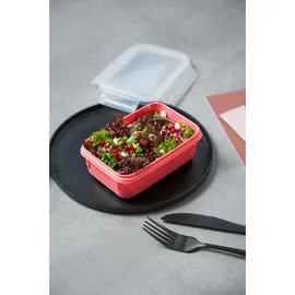 Emsa Clip & Close Frischhaltedose koralle 0,55 l