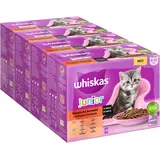 Whiskas Junior Katzennassfutter Klassische Auswahl in Sauce, 48 Portionsbeutel, 12x85g (4er Pack) – Hochwertiges Katzenfutter nass, für heranwachsende Katzen von 2 bis 12 Monaten