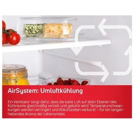 Amica VKS 358 150 E Kühlschrank (370 l, 1855 mm hoch, Edelstahl)