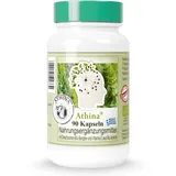 Athina Eisenkraut Bergtee Kapseln 90 St.