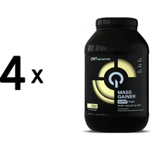 QNT Metapure Mass Gainer Vanille Pulver 1815 g
