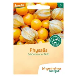 Bingenheimer Saatgut Physalis Schönbrunner Gold demeter