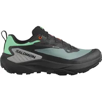 Salomon Herren Trailrunningschuhe SHOES Genesis GTX / Hr., North atlantic/black/sharkskin 44