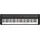 Casio CT-S1