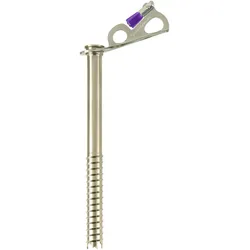 Black Diamond EXPRESS ICE SCREW 22cm one size No Color