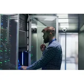 Western Digital WD103KRYZ 10 TB 3,5" 267 Mb/s