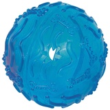 Nobby TPR Snackball Bone L