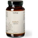 Waldkraft Kraftpilz Cordyceps Kapseln (120St)