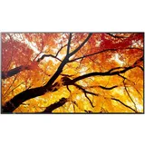 Sharp MultiSync M652 65"