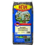 Gevo Gestreifte Sonnenblumenkerne | 5kg hochwertige Kerne von Sonnenblumen