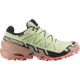 Salomon Speedcross 6 Gore-Tex