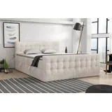 Fun Möbel Boxspringbett Schlafzimmerbett ANKER 200x200cm in Stoff Perfect Harmony Creme