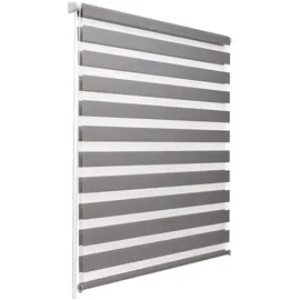 Sol Royal Doppelrollo SolDecor DL2 115 x 150 cm Grau