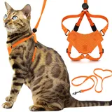 HoudiniTM Set aus Katzengeschirr und Leine von OutdoorBengal, ausbruchsicheres, mittelgroßes Katzengeschirr für Spaziergänge, Orange