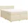 vidaXL Boxspringbett mit Matratze Creme 140x200 cm Stoff - Creme
