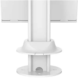 NeoMounts Tischhalterung, Tablet-Stand 7.9-11", weiß (DS15-640WH1)