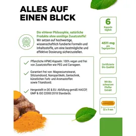 Vit4ever Bio Curcuma + Bio Piperin Kapseln 365 St.