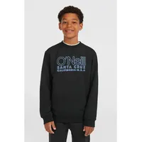 O'Neill Essentials Sweatshirt Schwarz 176