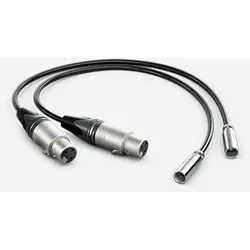 Blackmagic HYPERD/AXLRMINI2, mini XLR (3-pin), Männlich, XLR (3-pin), Weiblich,