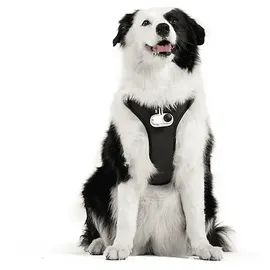 INSTA360 857821, Haustiergeschirr-Halterung Größe L, Schwarz