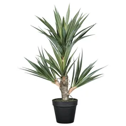 Kunstpflanze Agave in Grün/Braun