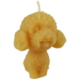 Aspinaworld Pudelkerze 5,5 cm gelb
