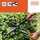 Black & Decker BLACK+DECKER Heckenschere 54cm