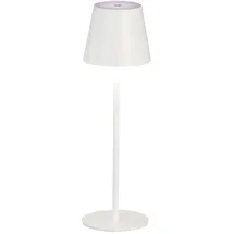 Fischer Leuchten Viletto Weiß