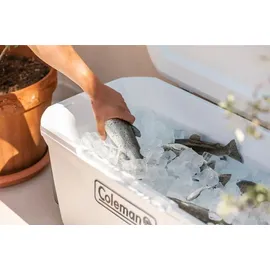 Coleman Xtreme Marine 90 l