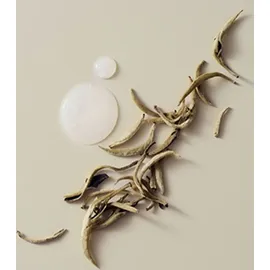 Schwarzkopf Bond Repair Purple Shampoo 300 ml